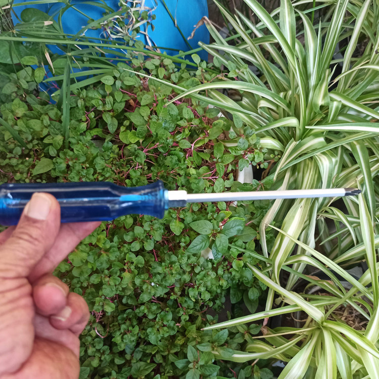 مجموعه دوعددی دو و ۴ سو پیچگوشتی چکش خور Afixs 150mm